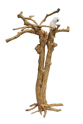 Play tree / Tree stand